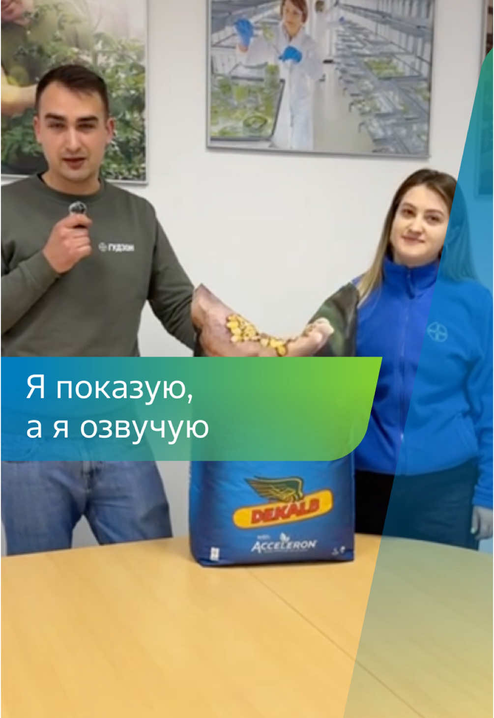 Робимо огляд на мішок кукурудзи бренду DEKALB! #агроном #кукурудза #огляд #посів #сезон 