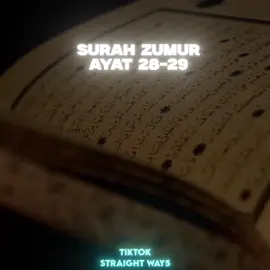 Surah ZUMUR Ayat 28-29 🌊🫀 #foryou #حسیب_پردیسی #foryoupage #fypシ #اللہ_جسے_چاہتا_ہے_ہدایت_دیتا_ہے 