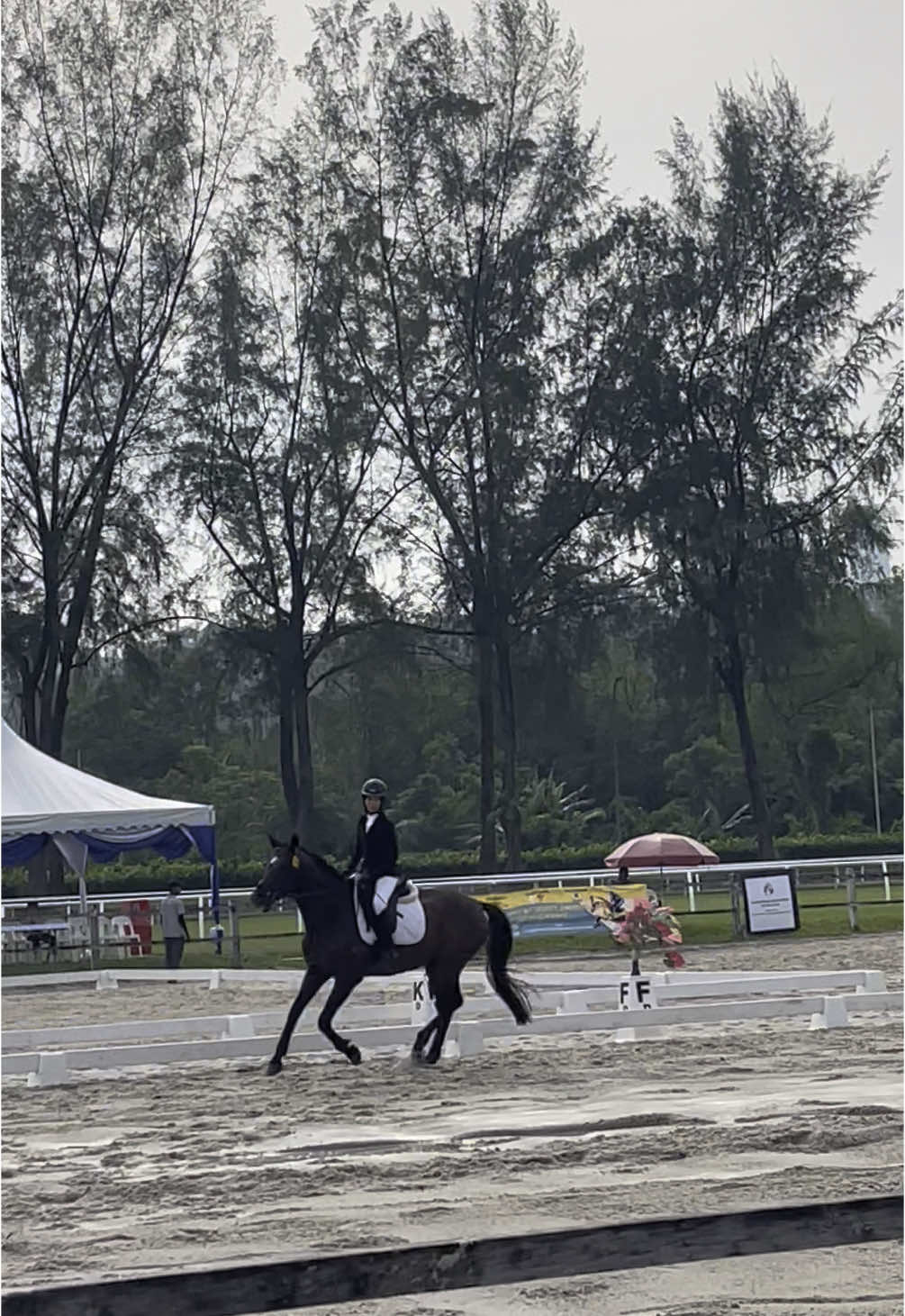 sorry rowpar saya main reins byk sgt
