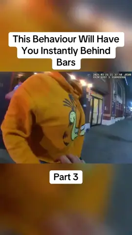 This Behaviour Will Have You Instantly Behind Bars Part 3 #cops #copsoftiktok #police #policeofficer #bodycam #crime #truecrime #truestory #foryou #fyp 