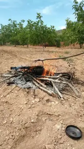 احلى شايه مع الطبيعه🫒☀️❤️