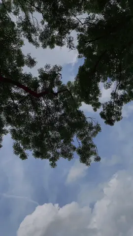 #yar 🫀#foryoupage 🫂#viraltiktokvideo #fupシ @عبداللہ رائٹر✍🏻👑 