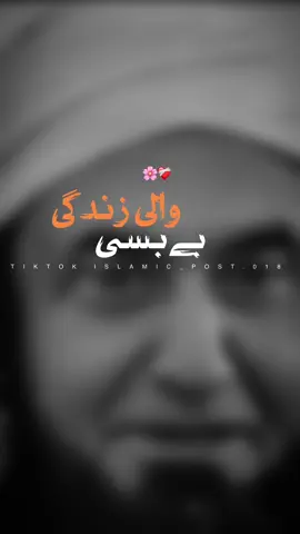 BEBASI WALI ZINDAGI….!!!!🌸❤️‍🩹🕊️ #foryou #foryoupage #trending #tariqjameel #islamicvideo #islamicpost #trendin #unfreezemyaccount #burhan_tv #viral #viralaccount #goviral #muhammad_parvi #notyourparvi #islamicpost018 