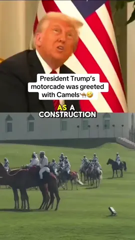 @President Donald J Trump : “We appreciate those camels, I haven’t seen camels like that in a long time.” 🤣🐪 #donaldtrump #fyp #viral