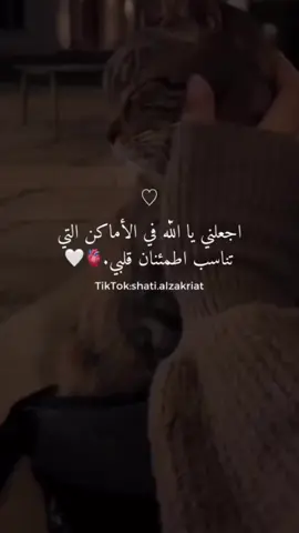 #fypシ #shatialzakriat #عبارات #خواطر #UnfoldReelsandStoryEditor #اكسبلووووورررر 