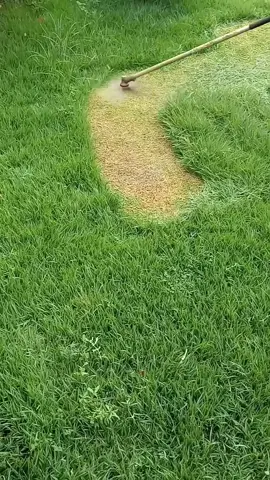 #cleaningasmr #uncloggingdrains #cuttinggrass #cleaninghouse #satisfying #asmrsleep #asmrsleeprelax #cleaninggarden #camping #tips #cleaningsatisfying #homecleaning #housecleaning #lawncare #mowing #mowingthelawn #lawnmowing 