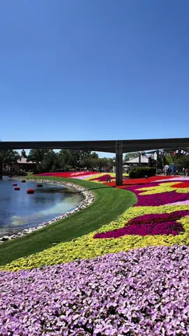 EPCOT has a secret entrance and if you’re not using it, you’re missing out!  The International Gateway is a back entrance that puts you right into World Showcase, just steps from Frozen Ever After and Remy’s Ratatouille Adventure. So this puts you at a huge advantage if you’re rope dropping those rides. You can walk to this entrance if you’re staying at Disney’s BoardWalk Inn, Beach Club, or Yacht Club—or take a boat from those resorts if you prefer. It’s also where the Skyliner drops off, so it’s super convenient for guests staying at: • Art of Animation • Pop Century • Caribbean Beach • Riviera Resort This entrance saves you time, skips the crowds, and starts your park day off right!  Follow me for more Disney planning tips and tricks! Or, fill out my form that’s linked in my bio and one of our Thoughtful Travelers’ agents will reach out to you to run free quotes and begin planning your families Disney vacation! ✨ #thoughtfultravelers #epcotdisneyworld #disneytipsandtricks #disneyskyliner #disneyresorts #disneyplanning #epcotropeDrop