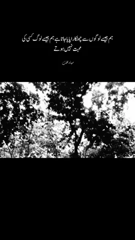 ہم جیسے لوگوں سے چھٹکارا پایا جاتا ہے ہم جیسے لوگ کسی کی محبت نہیں ہوتے #fyp #foryou #foryoupage 