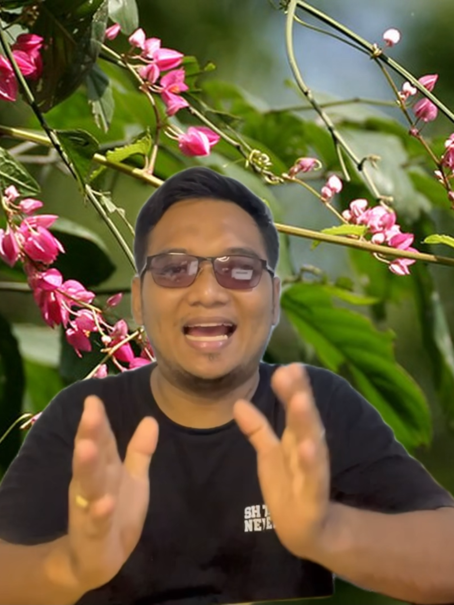 Beneficial Plant in Palm Oil Plantation #beneficialplants  #asystasia  #antigononleptopus  #cassiacobanensis