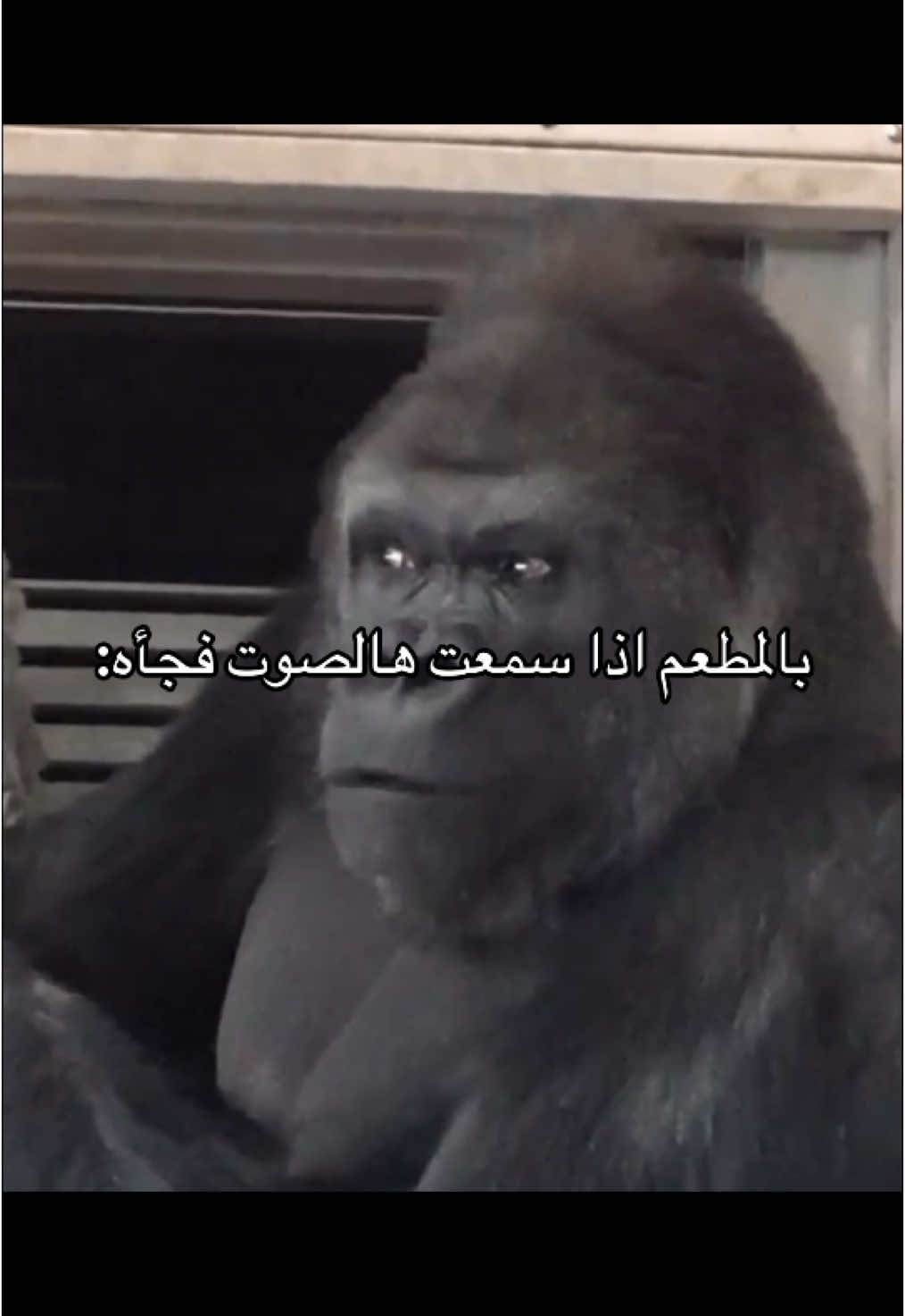 ابي اعرف وش المناسبة ومن راعيها 😂
