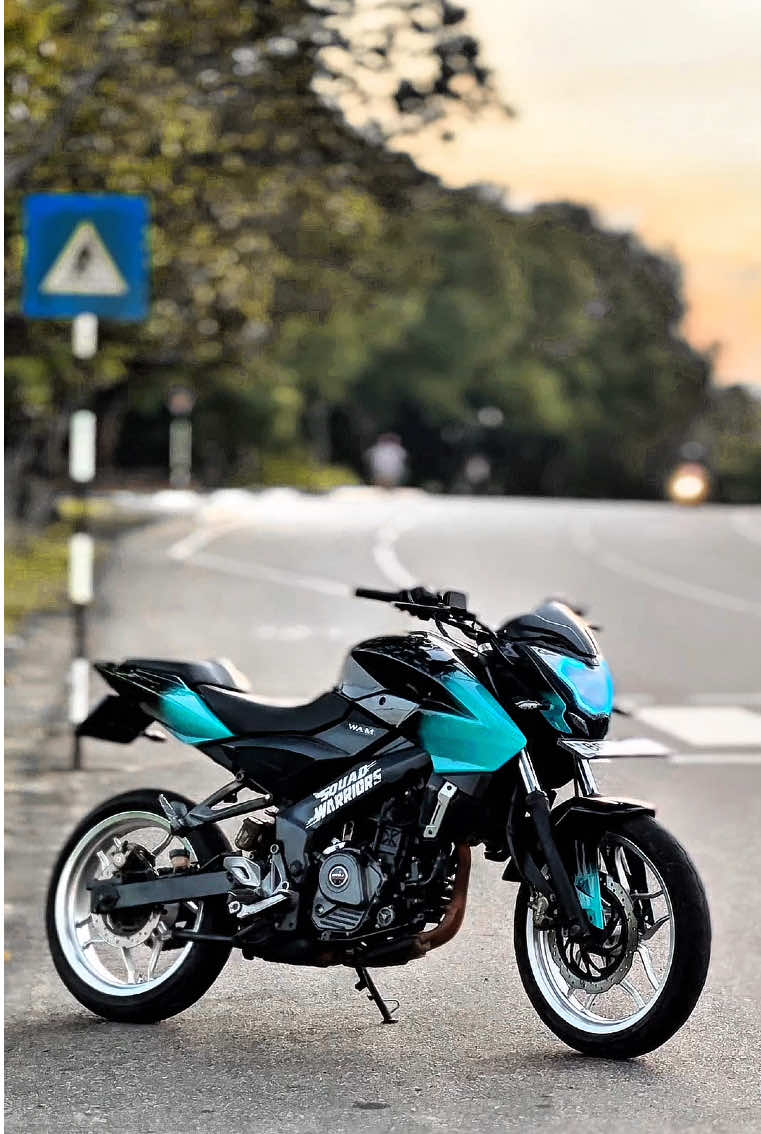 Stock King 💀💨  #everyone #humor #flypシ #WAM #foryou #trending #goviral #ns200 #nslover #viral #sound 