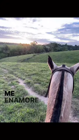 #me #enamore #ti #de #tu #mirada #pipebueno #amor @PAULA_JL 