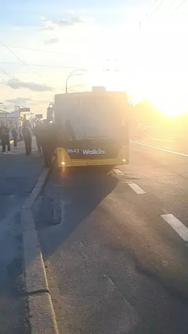 наглаженный маз 203 бортовой 8642 в рекламе маршрут номер 114 рекспект водителю @Артем Проценко581 