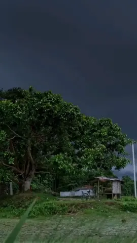 #nature #darkasthetics 