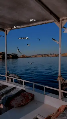 #لحظة_ادراك #fouryou #pov #fyp #funny #fact #ستوريات #soha1990_ 