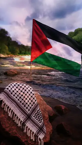 🇵🇸🇵🇸✌️🇵🇸🇵🇸