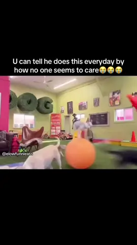 Amazing if u ask me😭😭