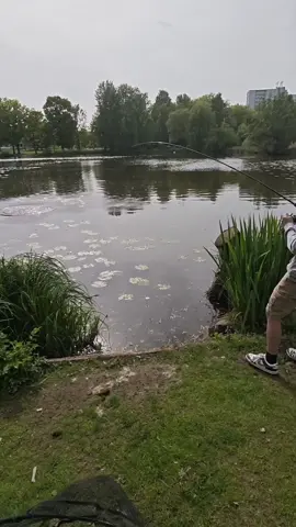 Bodenloser Typ hahahahaha #vatersohnliebe #angeln #fishing #pike #petri #unzertrennlich #brassen #gehörtdazu 