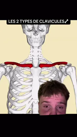 Team courtes ou longues  #musculation #clavicules #devinelapersonne 