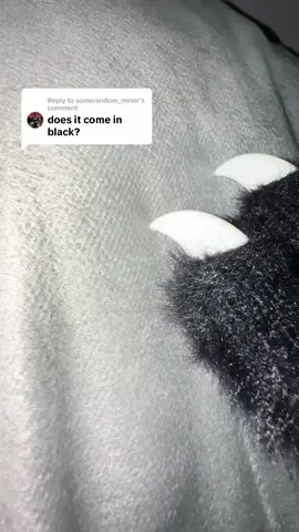 Replying to @somerandom_minor #cat #catsoftiktok #catpaws #furryfandom #furry 