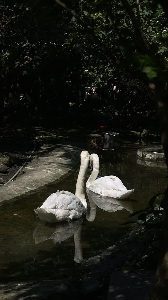 Em trả mặt trời về nhà, mong mặt trời vĩnh viễn bình an.