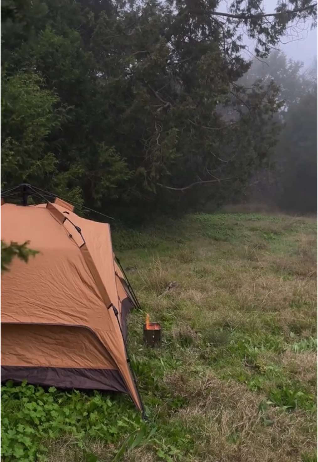 ليلة تخييم شتوية 🏕️. #albaha #explore #الباحة #quran #ضباب #المنشاوي 