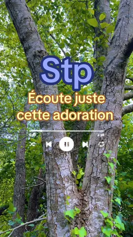 Avec Jésus oui je le peux 