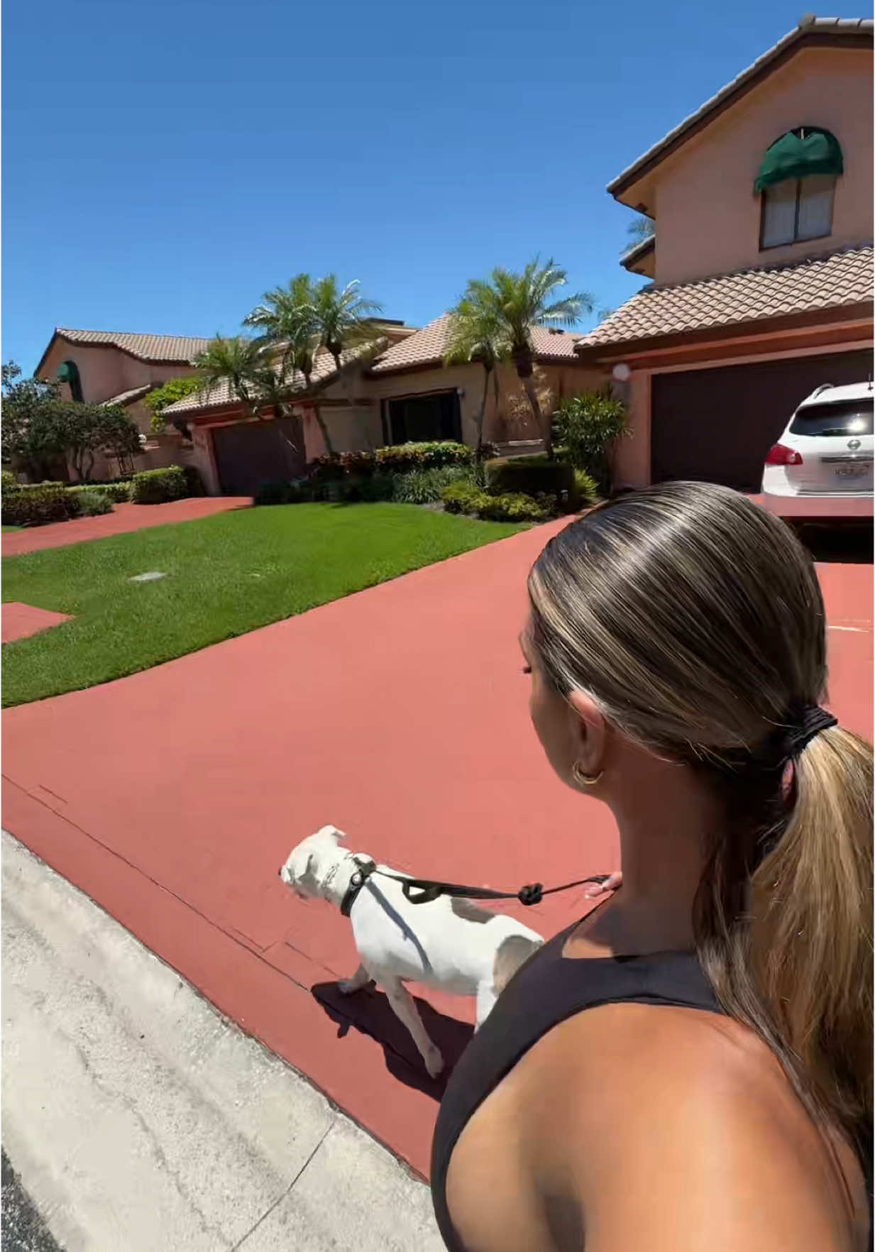 come with me to pick up my dogs shit 