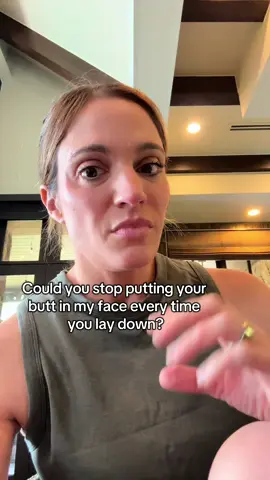 How bout nooooou #catsoftiktok #cattok 