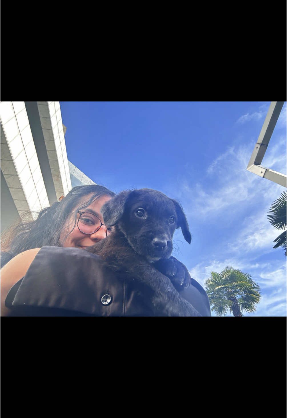 I wish they could come every day 😭🥹 #nouendan #corporatetok #puppylove #fyp #PetsOfTikTok #foryoupage #cutie 