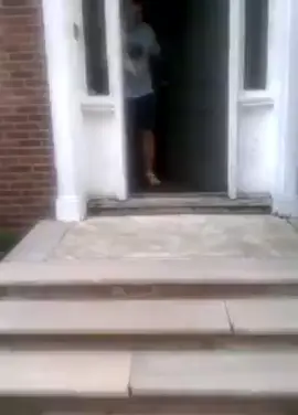 U can’t stop him 😹 #cute #dog #animal #funny #randomclips #fyp 