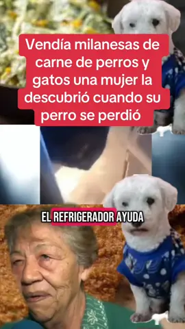 #milanesas #cat #dog #fy 