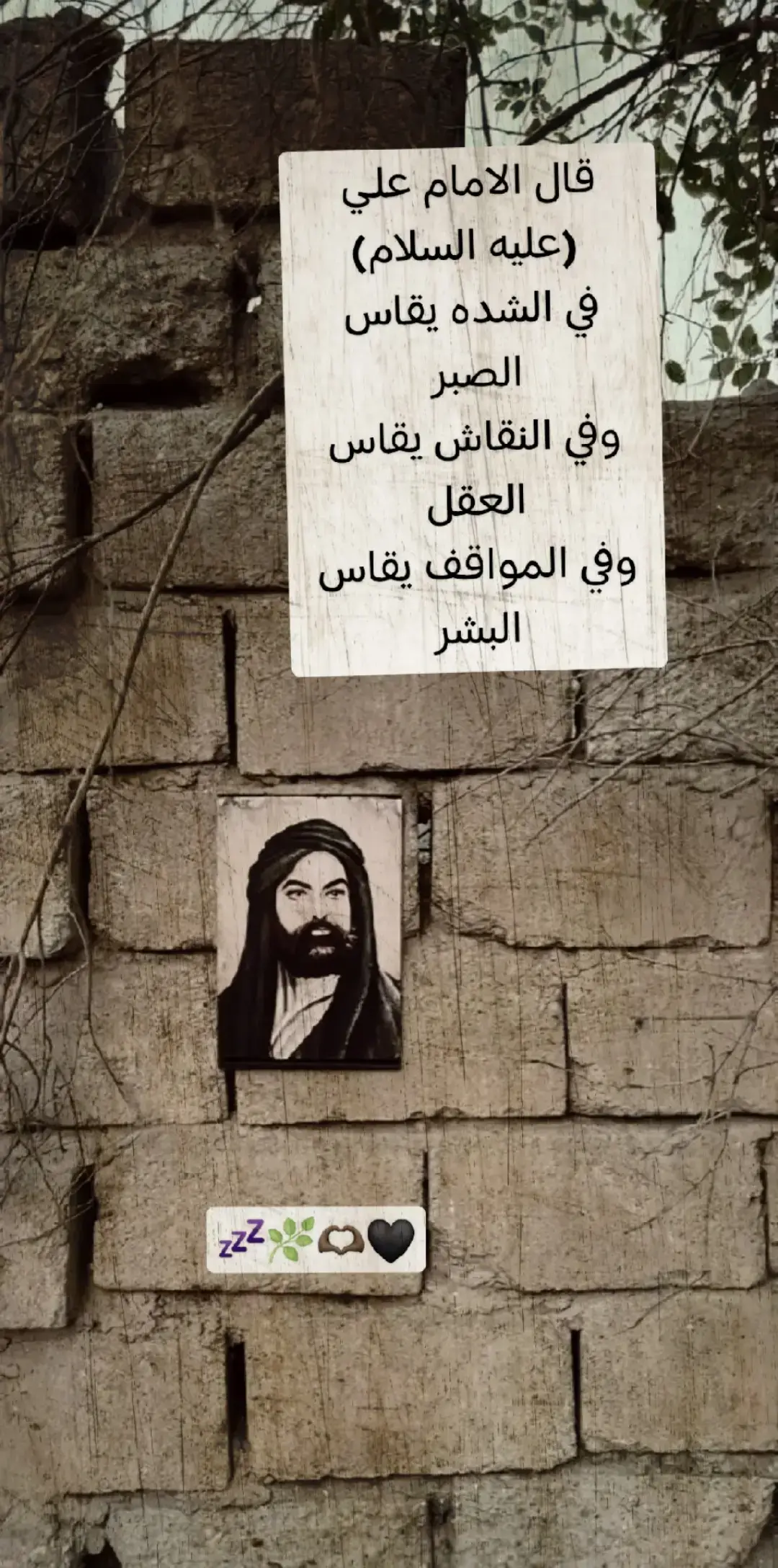 #تصميم_فيديوهات🎶🎤 #فيدهات_متنوعه #علي_بن_ابي_طالب #الامام_علي 