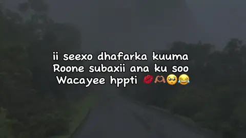 Seexo 🫂#fyp #soomaali_tiktok🇸🇴🇸🇴 #fyppppppppppppppppppppppp #capcut 