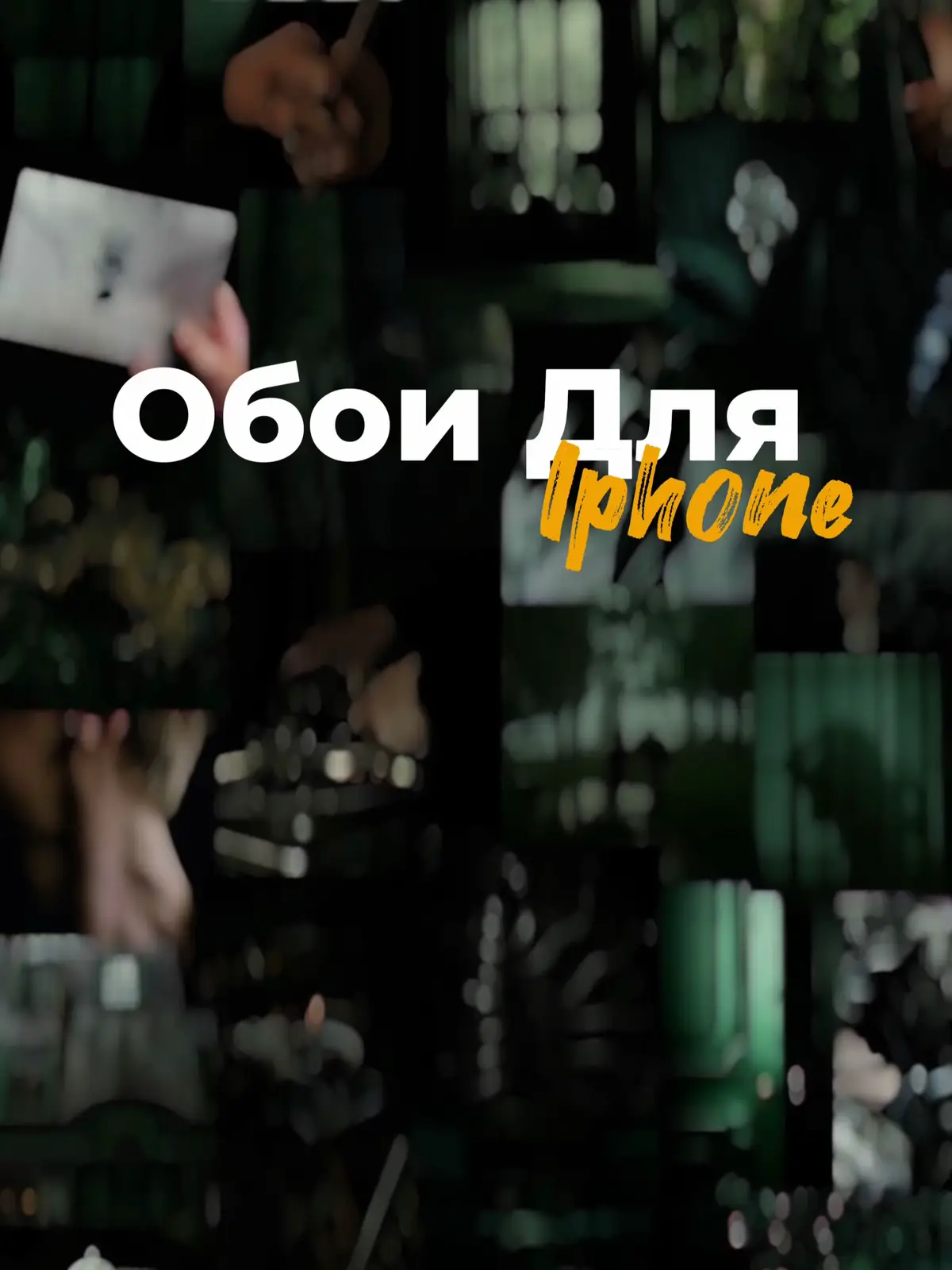 #iphone #Обои #wallpaper 