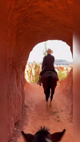 #parktok #saveourparks #brycecanyon 