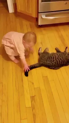 Funny babies 🤣😂😂🤣😂 shorts 🤣😂😂🤣😂😂😂#bab #babylove #vlogs #babyfashionista #baby #fyp #ootdbaby #trending #song #babylove #typ #babyvideos #foryou #babylove #cutebaby #trendingvideo #The #babies #c #ForYouTrack #viraltiktok #vlogs #babiesoftiktok #babiesoftiktok #cutebabies #funnyvideos #ha #funnybaby #TikTokfunny #fyp #babiesfunny #TikTok #viral#c  #lovebaby #foryoupage #shorts #video #cute #UnitedState#fyp#baby #babygirl #babyshower#babyboy #babyboy #babylove #babyfashion #cutebaby #newborn #newbornphotography #familytime #parenting #toys #babyshop #babymodel #babyyoda #babylights #babyboomer #babyblues #babyfever #babyclothes #babystyle #babyfood #babydog #babybrother #babypink #unitedstates #usa🇺🇸 #germany #spain #usa_tiktok #german #unitedkingdom #newyorkcity 