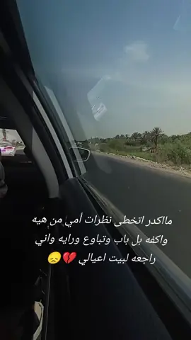 #اهلي_ربي_يخليكم_لي #اكسبلورexplore #مشاهير_تيك_توك_مشاهير_العرب #مشاهير_تيك_توك_مشاهير_العرب #بيتاهلي♥️ #بيتابوي،❤️⭐ #رايحه-بيت-اهلي