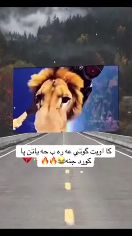 دروه وه ژ كوردا بيشي تر🌚😂#شعب_الصيني_ماله_حل😂😂 #دهوك_ئاکڕێ_زاخو_😍🔥 #kn0_320 #fyppppppppppppppppppppppp #harki #fyppppppppppppppppppppppp #harki 
