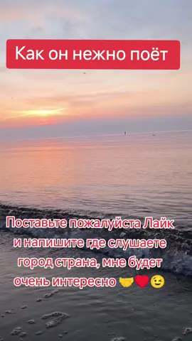 #мелодия #словасосмыслом #душевно #идеянемоя #песнядлядуши #душевно #песнятоп 