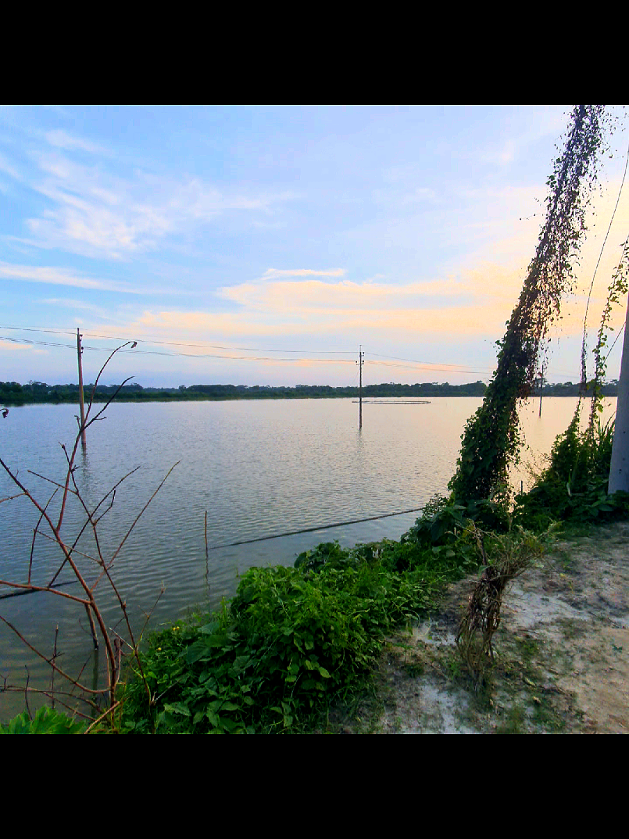 আমি মারা গেলে #foryoupage আমার মাকে তোমরা একটু দেখো 🥹💞#Ramadan #foryou #😅😅😅 #🥲💔 