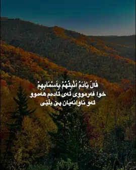 #سعد_الغامدي #استغفرالله♥️ #قورئان #دعا #quran #الله #fyp 