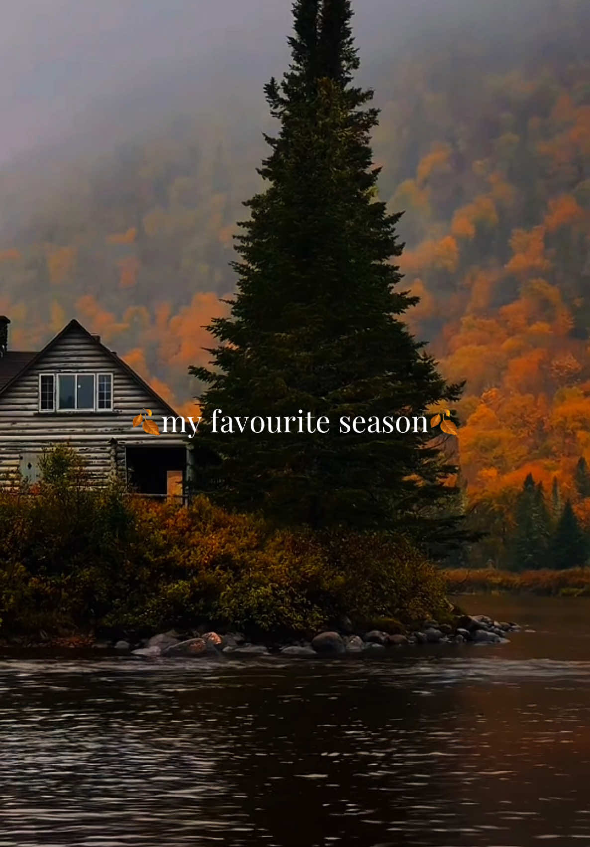 🍂autumn is my favourite season🍂  #autumn #cozy #fall #september #september  (creds to @Melody 🌱 for the first 2 beautiful clips)