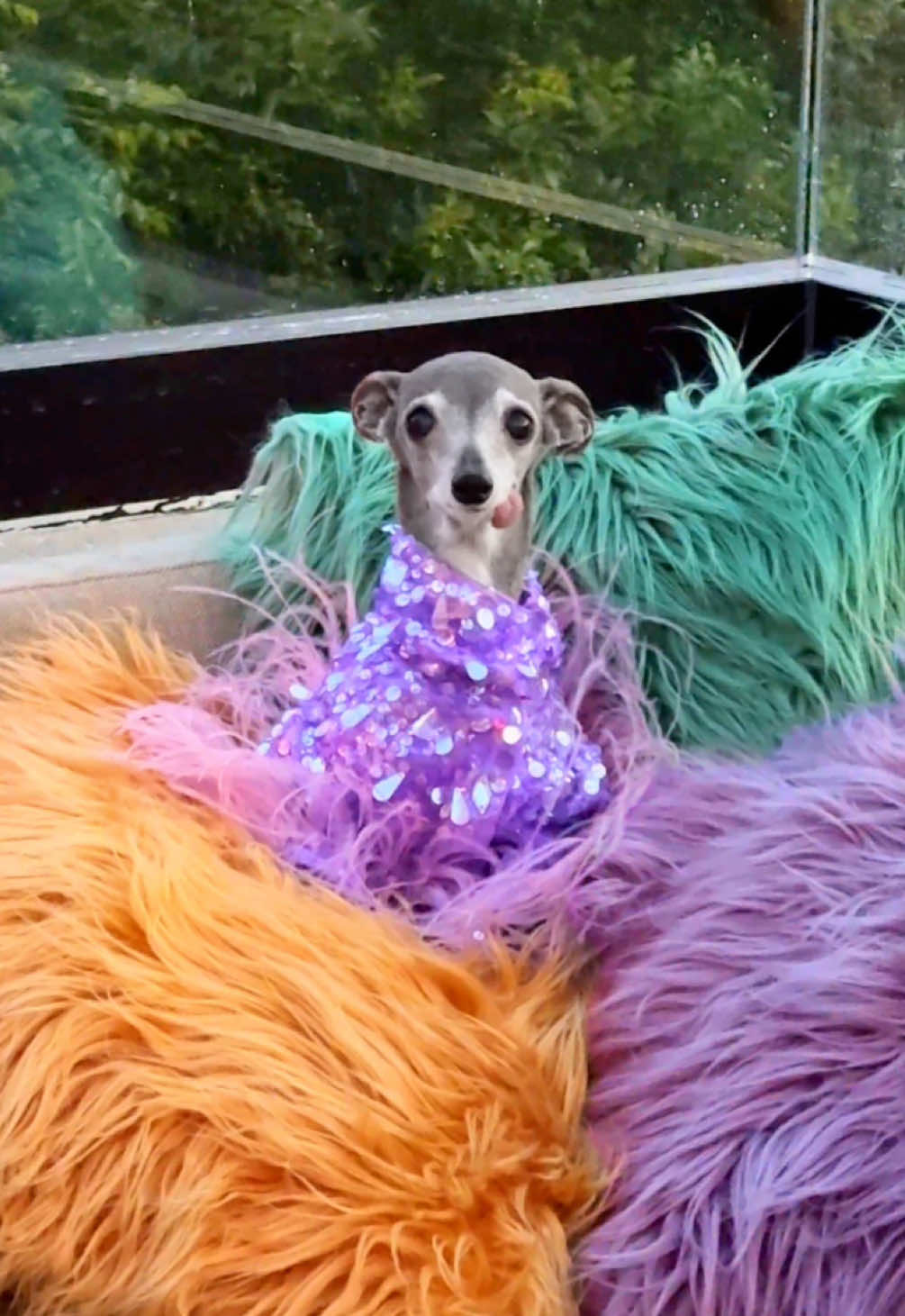 When you bring your introverted friend to the party I’m a friendly girl, but my social battery only lasts so long 😅🪫