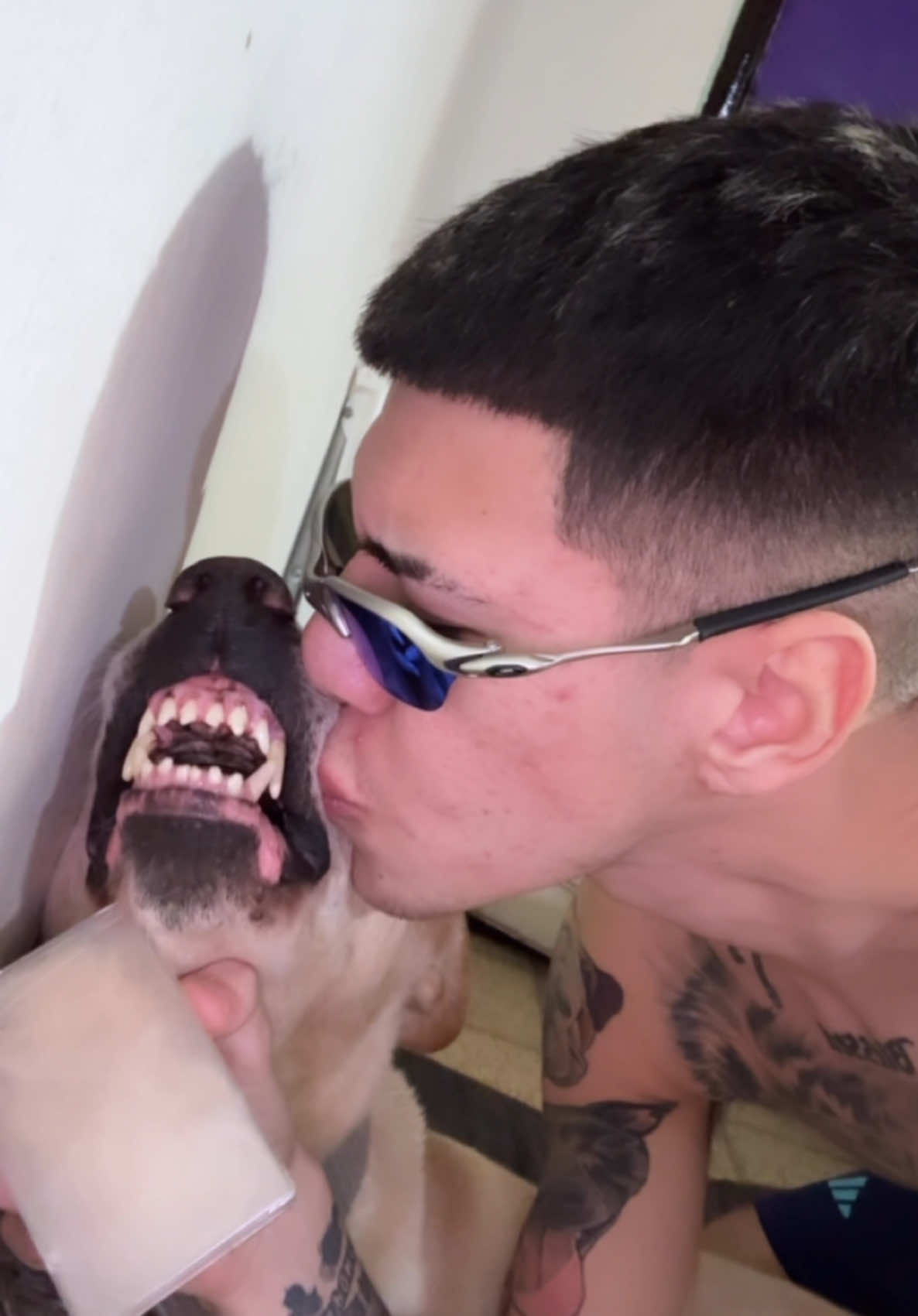 pelito de mi VIEJO 😔👴🏻  para tenerlo conmigo TODA MI VIDA 🥹💖 TE AMO VIEJO ROCKY ❤️ • • • • • • • • • • • • • #recuerdos #tristeza #amoradistancia #dogsoftiktok #loveyou #amoradistancia #funnytiktok #risastiktok #fyp 