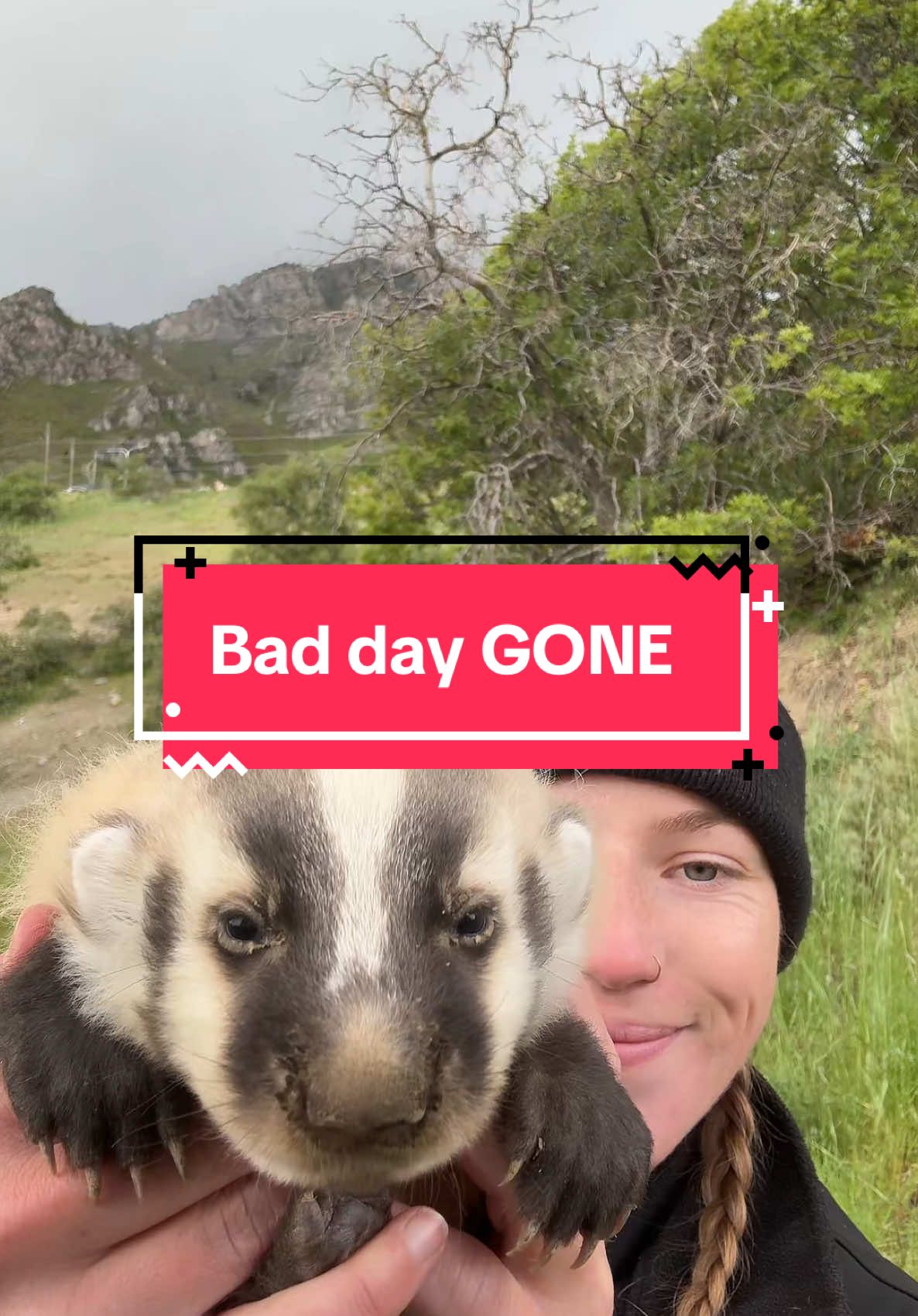 Okay, okay one more with my audio because I couldn’t decide which is better. 🫣 I’ll let you decide 🫶 . Little cutie was taken to a rehabilitation center to get big and strong so he can return back to nature. 💕 #fyp #babybadger #wildlifeencounter #naturelovers #woodlandcreatures #cutenessoverload #rescuedanimal #babyanimalsofinstagram #adorablewildlife #forestfriends #wildbaby #animalrescue #naturephotography #unexpectedencounter #fluffyandfierce #tinybutmighty #wildlifelove #heartmeltingmoment #animalencounter #naturemagic