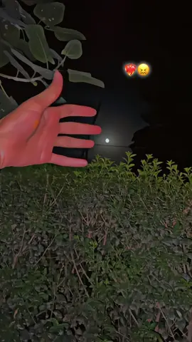 👩🏻‍💼🚕🖐️😮‍💨🥺💔