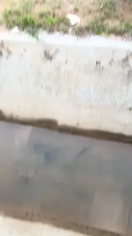 #beatgen2 #apajako🤙🏻 #ktstyle #imsgarage175 