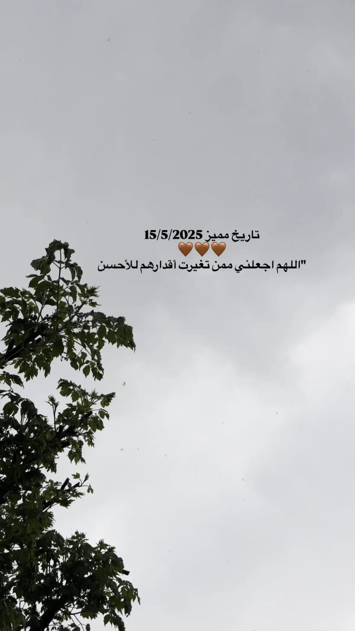 #اللهم_امين #یارب_العالمیــــــــــن🤲🏻🥺 