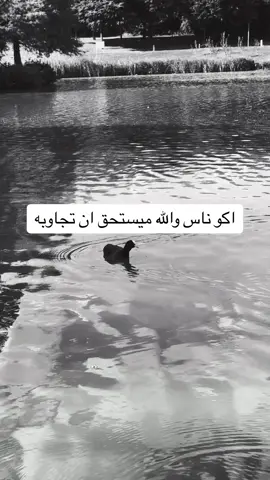#الحسين_ثورة_خالده #حسينينالابد #حسيىـن💔 #حسينيون_مابقينا_وبقت_الحياة🌱 #طفلاً_حسيني #اشيخ الوائلي ####الحسين_ثورة_خالده 